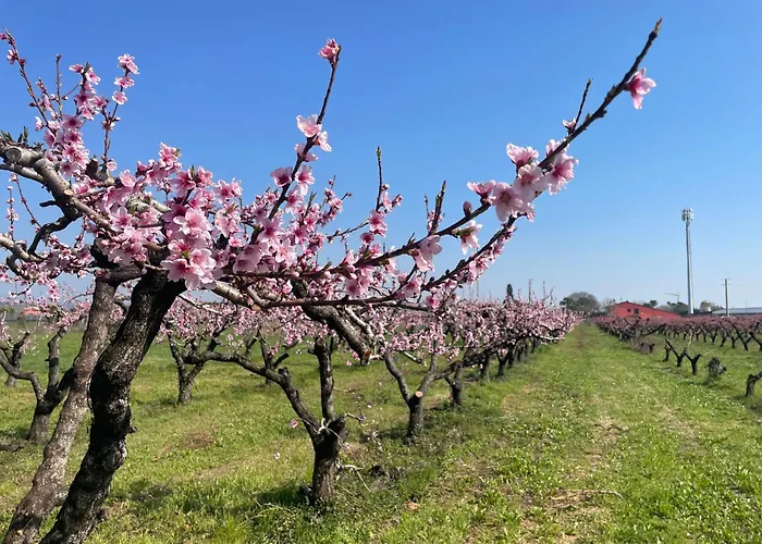 Agriturismo Corte Vecia Alloggio Della Corte