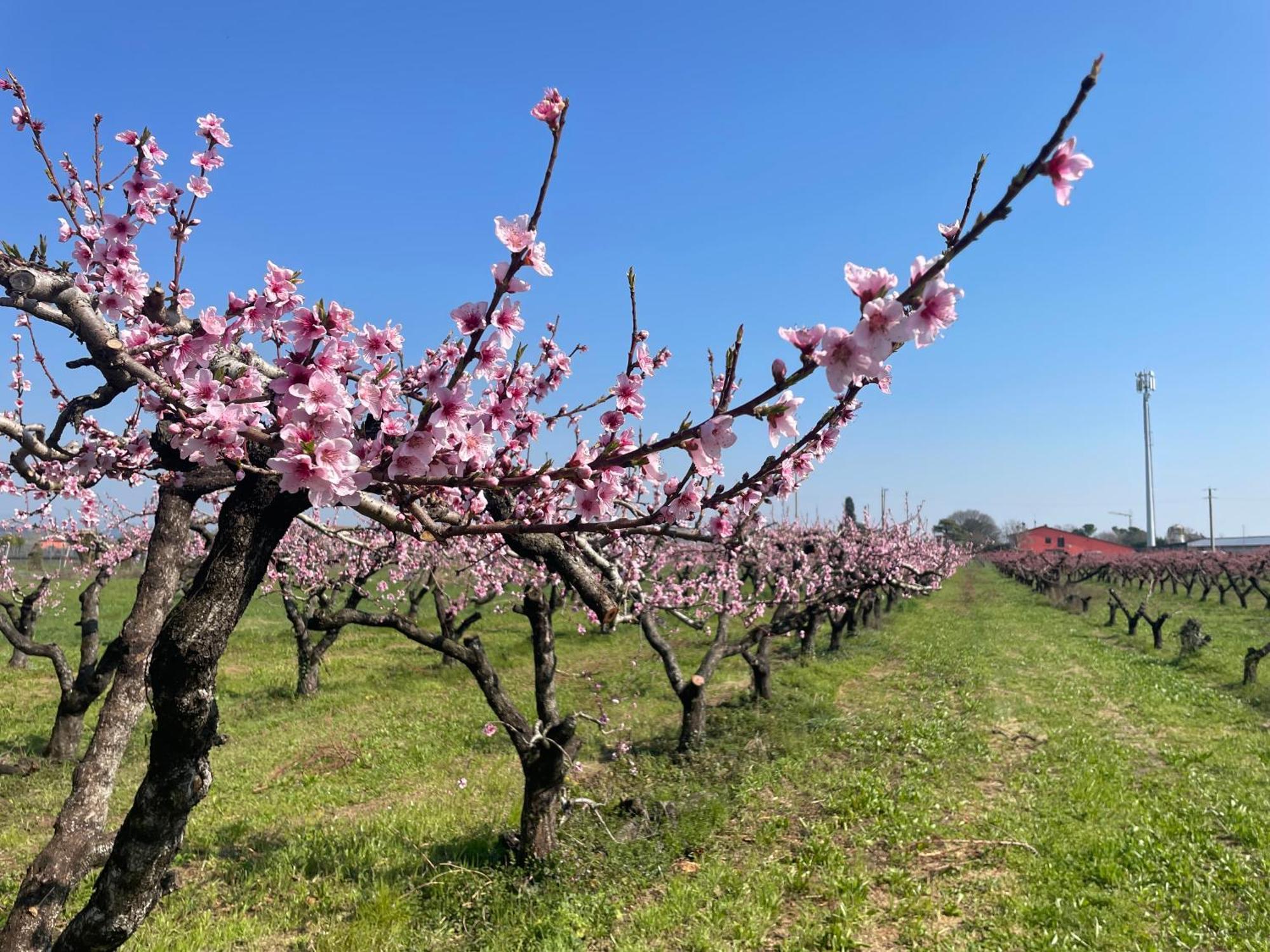 Séjour à la ferme Corte Vecia Della Corte Vérone